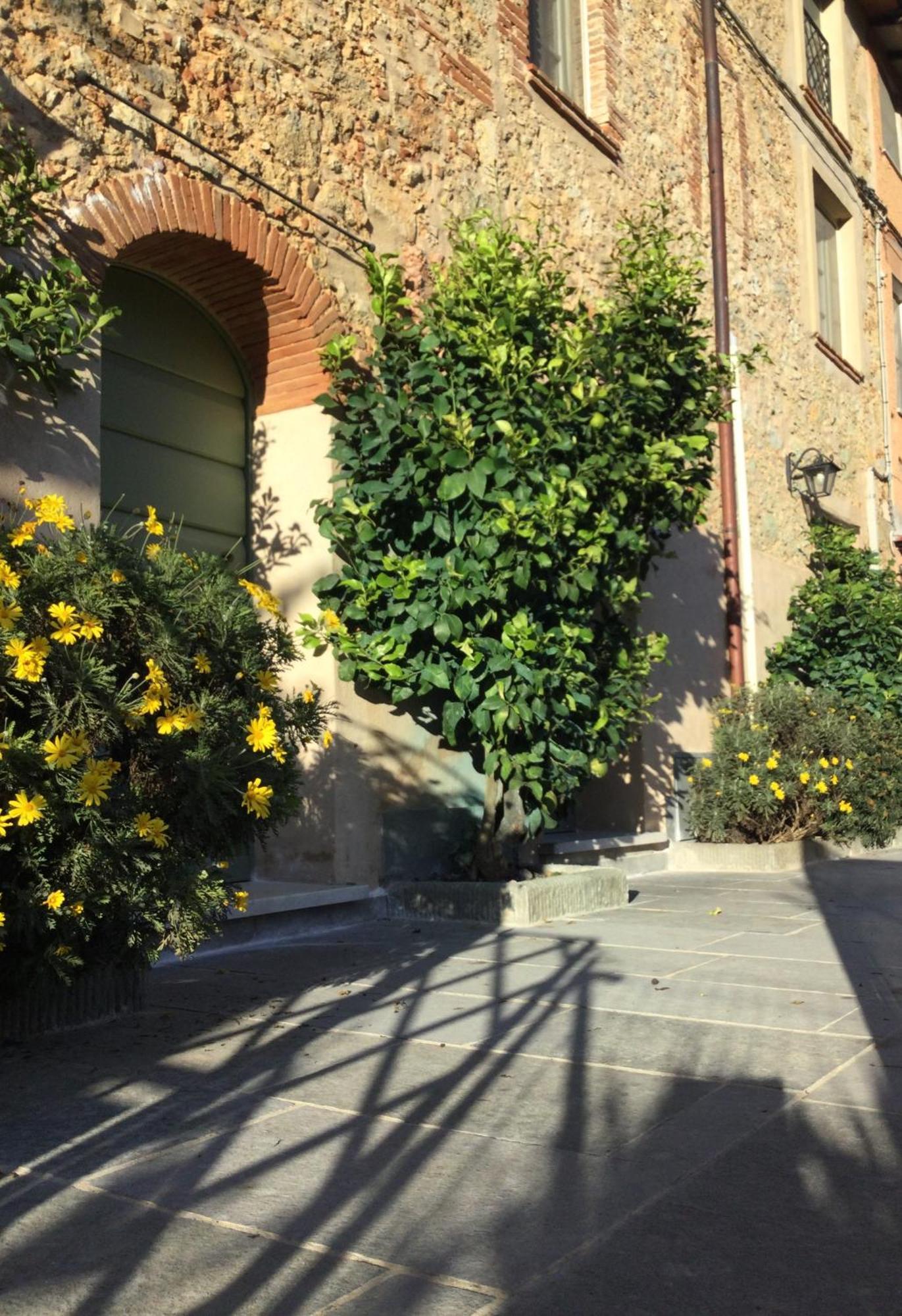Casa Mita Con Pacchetto Mare Incluso Villa Camaiore Eksteriør bilde